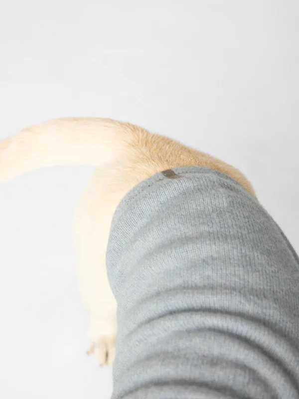 The Cashmere Dog Hoodie