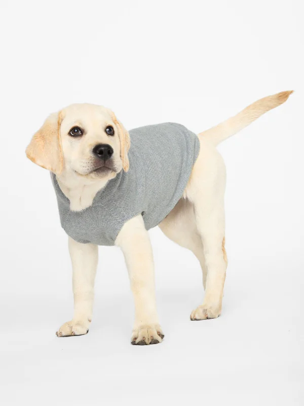 The Cashmere Dog Hoodie